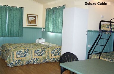 Fossickers Rest Tourist Park Deluxe Cabins - Beds